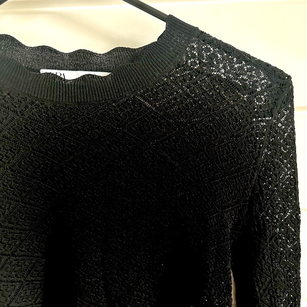 Zara Pointelle Long Sleeves Crop Top